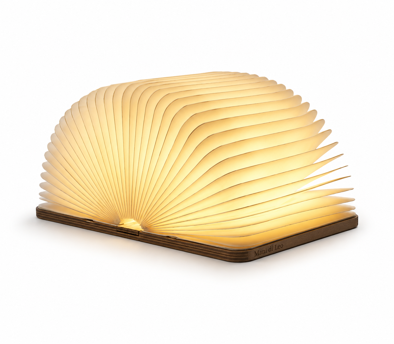 Libro di Luce